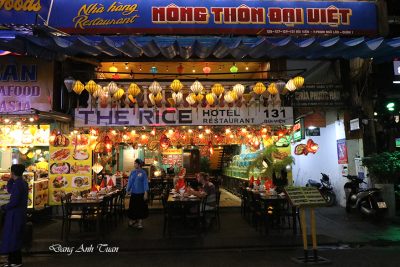 BVIEN 4803