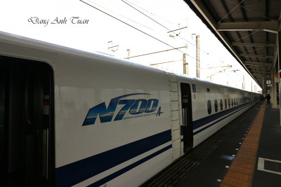 TGV 6566