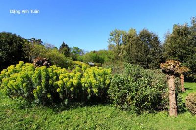 chatenay 0547