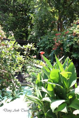 jardin 7B