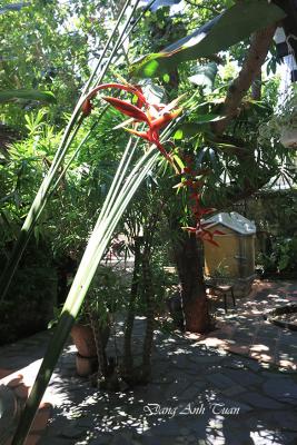 jardin 7D