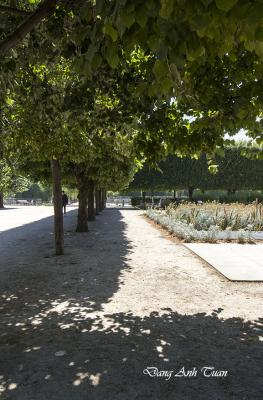 tuileries 7871