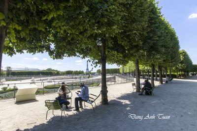 tuileries 7873